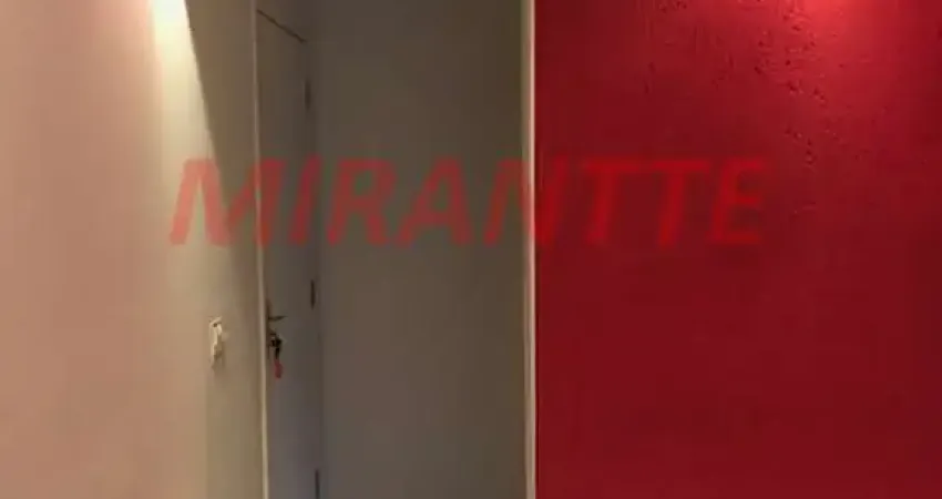 Apartamento de 50m² com 2 quartos em Parque Novo Mundo