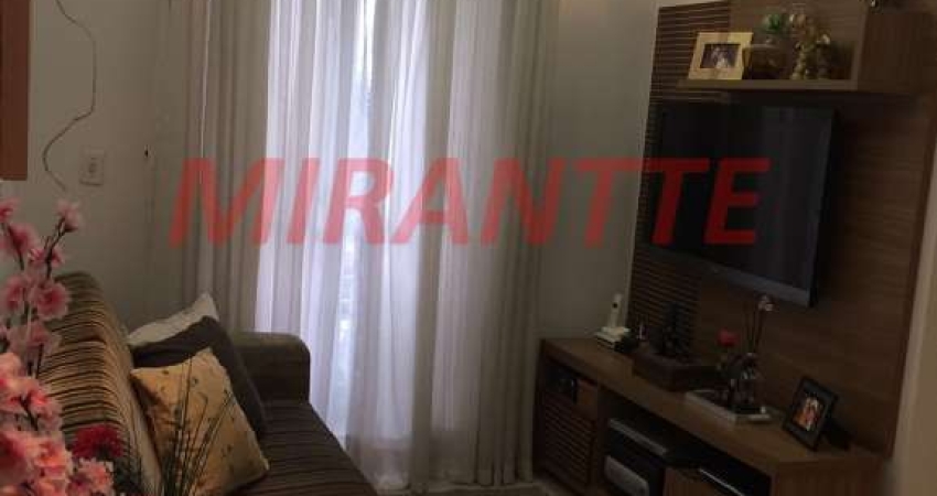 Apartamento de 50m² com 2 quartos em Imirim