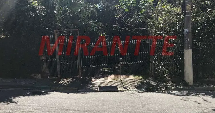 Terreno à venda na Rua da Esperança, Vila Gustavo, São Paulo
