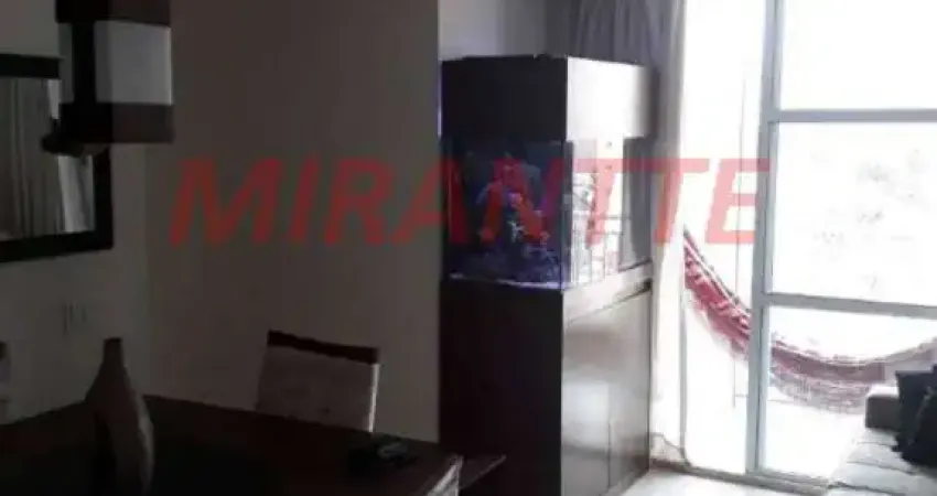 Apartamento com 3 quartos à venda na Rua Olívio D'Assunção Ferreira, Mooca, São Paulo