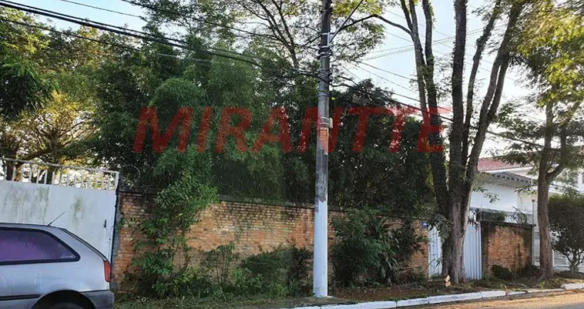 Terreno em Palmas Do Tremembé