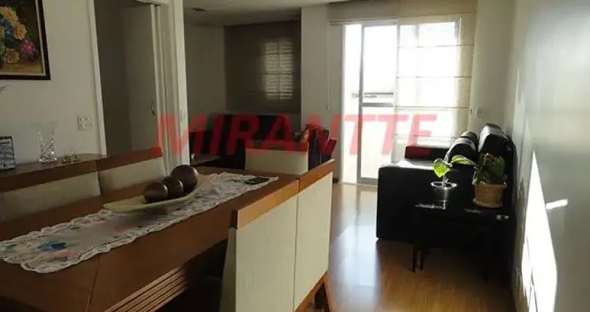 Apartamento de 66m² com 3 quartos em Horto Florestal