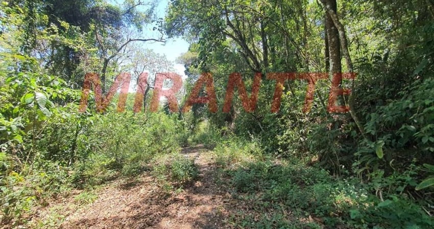 Terreno em Serra Da Cantareira