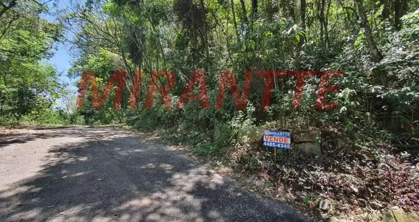 Terreno em condomínio fechado à venda na Rua Palmas Do Sul, Serra da Cantareira, São Paulo