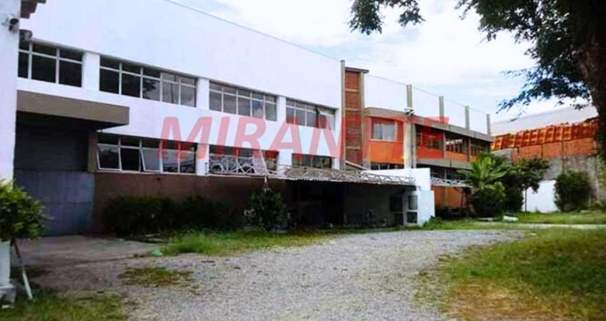 Galpao de 5021m² em Remédios
