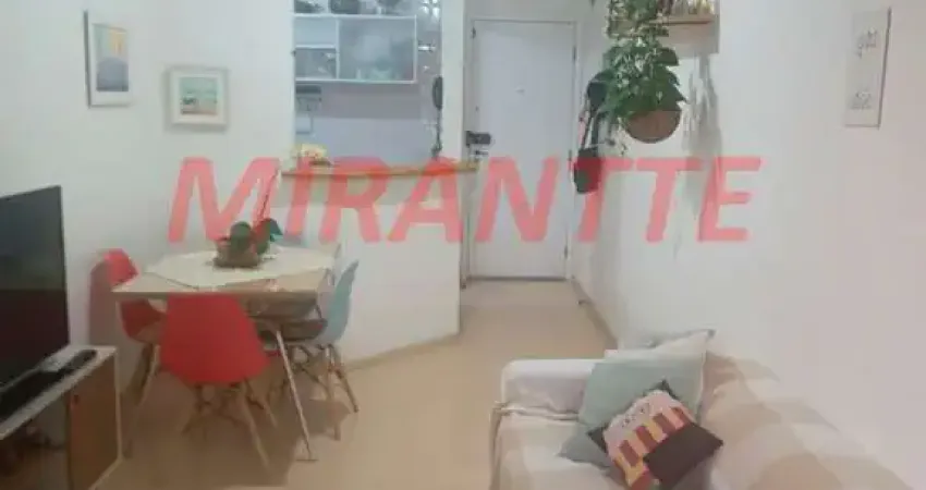 Apartamento de 50m² com 2 quartos em Parque Mandaqui