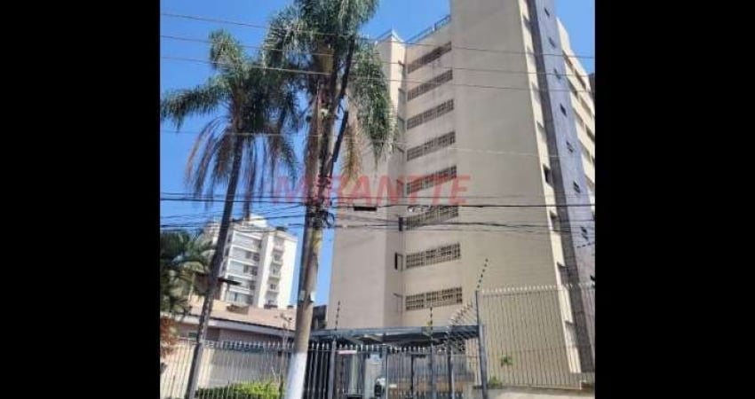 Apartamento de 72m² com 3 quartos em Jardim São Paulo(Zona Norte)