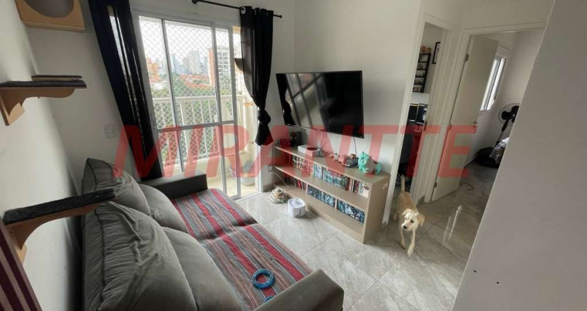 Apartamento de 43m² com 2 quartos em Vila Guaca