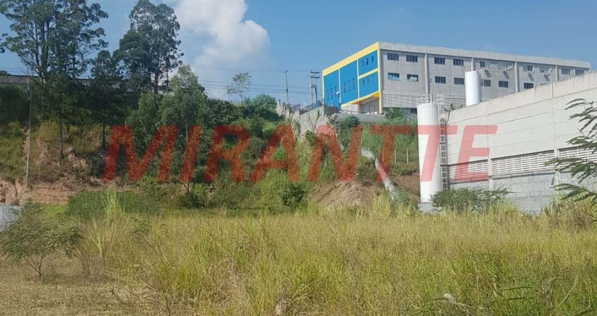 Terreno à venda na Avenida David Kasitzky, Vila Rosina, Caieiras