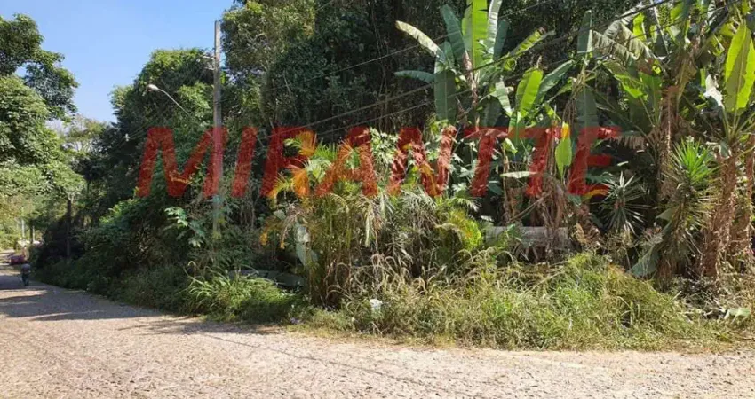Terreno em condomínio fechado à venda na Rua dos Pinheiros, Serra da Cantareira, São Paulo