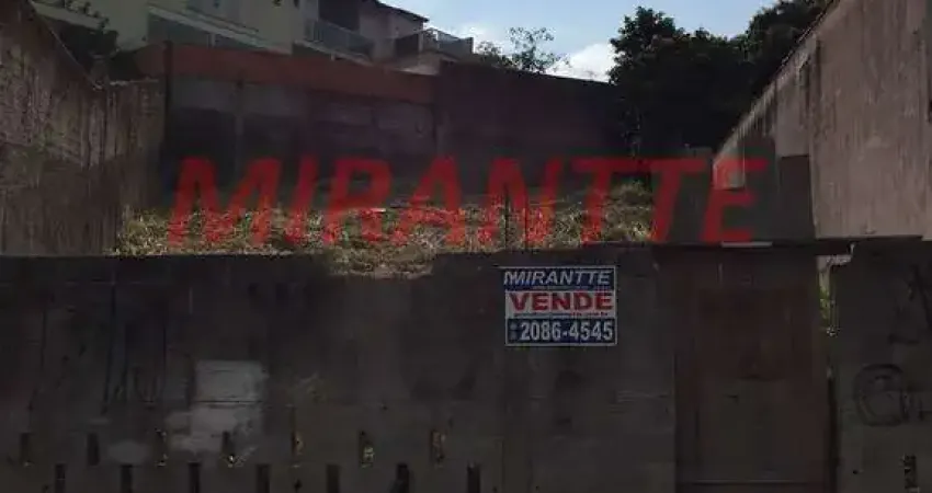 Terreno em Vila Rosália