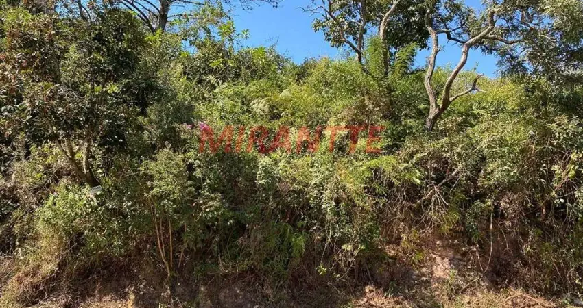 Terreno à venda na Avenida São Paulo, Serra da Cantareira, Mairiporã