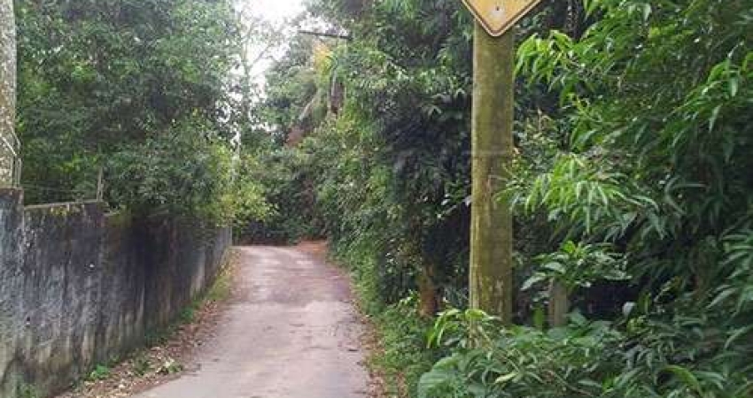 Terreno à venda na Rua Caminho do Sitio, Serra da Cantareira, São Paulo