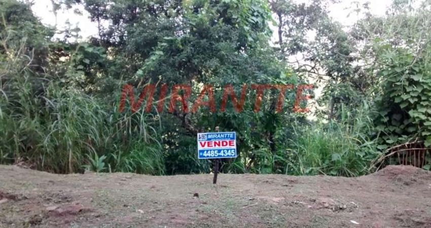 Terreno à venda na Alameda Los Angeles, Serra da Cantareira, São Paulo