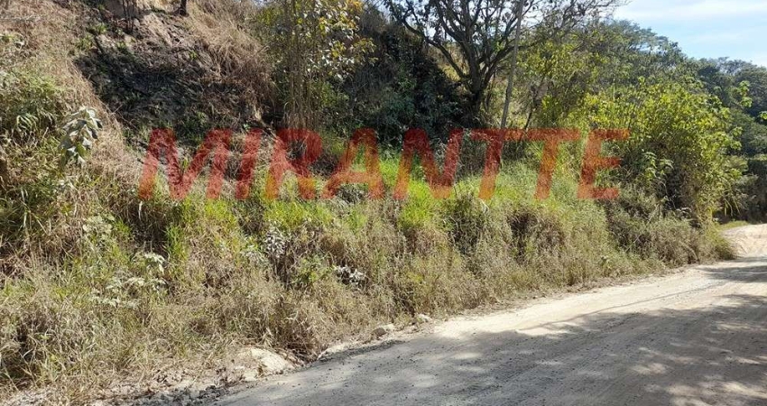 Terreno à venda na Estrada Municipal Laert Guerra de Aguiar, Serra da Cantareira, São Paulo
