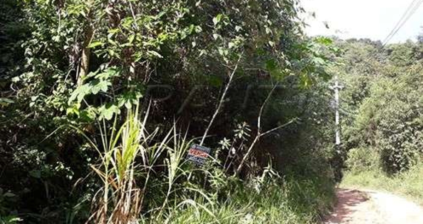 Terreno à venda na Alameda São Carlos, Serra da Cantareira, São Paulo