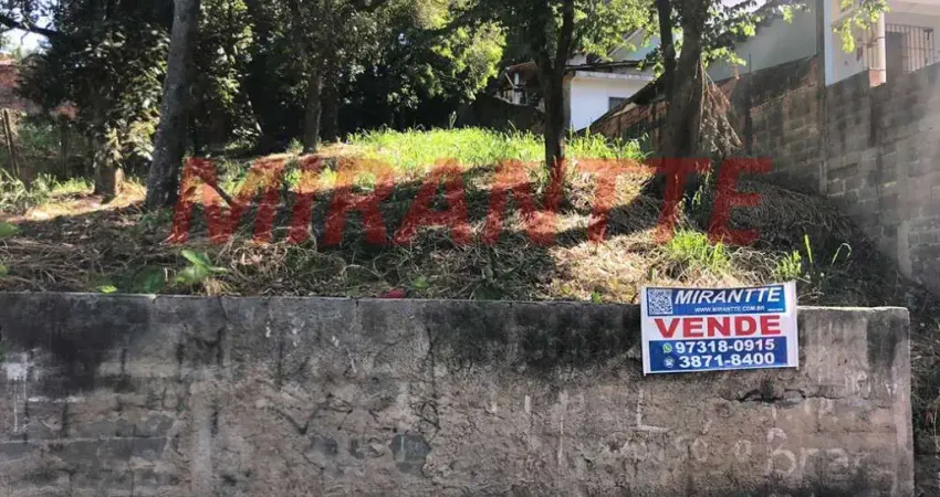 Terreno à venda na Rua Antoninho Marmo, Vila Irmãos Arnoni, São Paulo