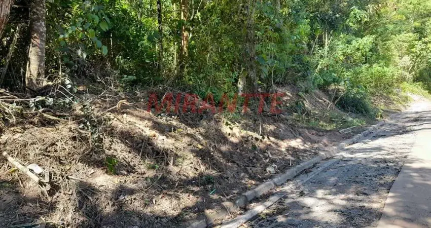 Terreno à venda na Rua Pio XII, Centro, Mairiporã