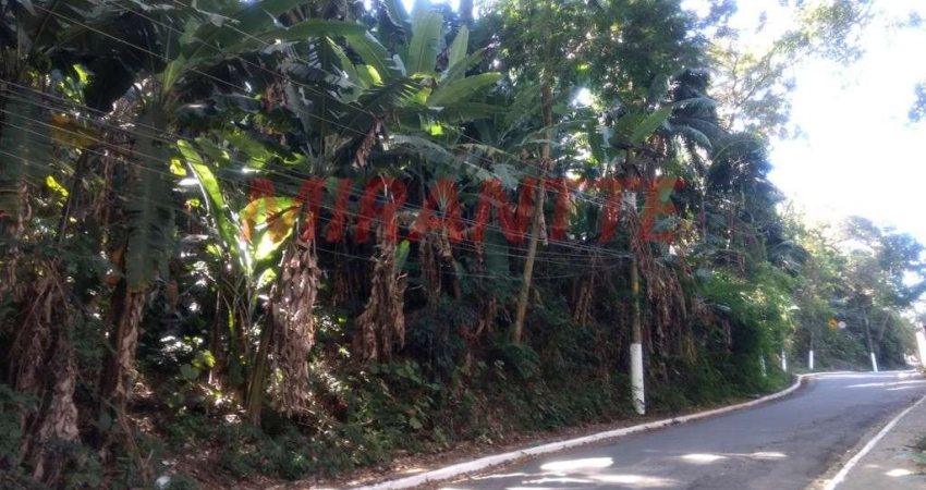 Terreno à venda na Avenida Nova Cantareira, Vila Albertina, São Paulo