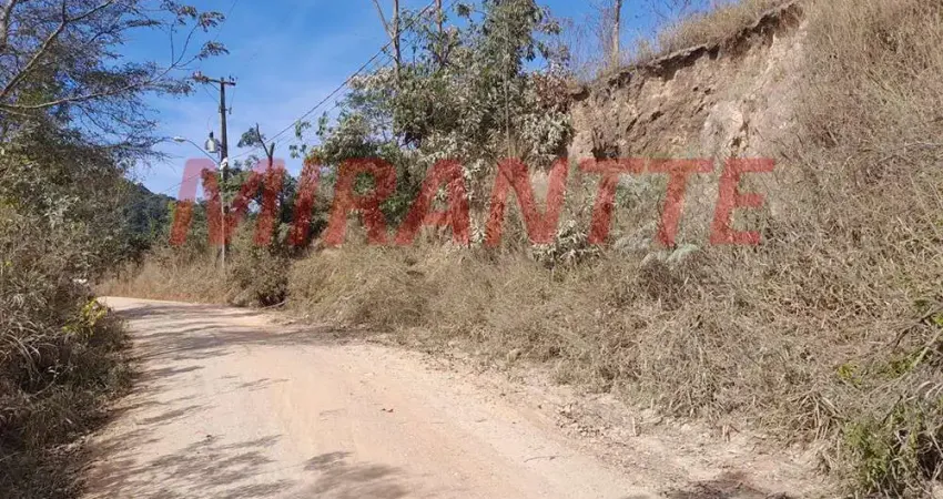 Terreno à venda na Estrada Municipal Laert Guerra de Aguiar, Santa Inês, São Paulo