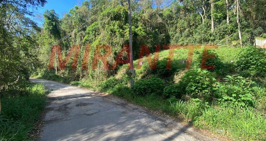 Terreno à venda na Avenida Dos Girassois, Serra da Cantareira, São Paulo
