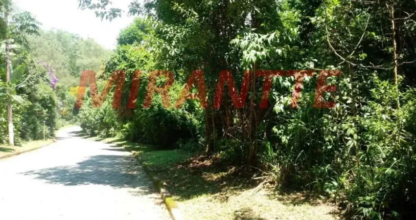 Terreno à venda na Alameda Italia, Serra da Cantareira, São Paulo