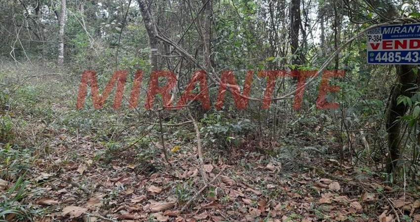 Terreno à venda na Rua Gardenias, Serra da Cantareira, São Paulo