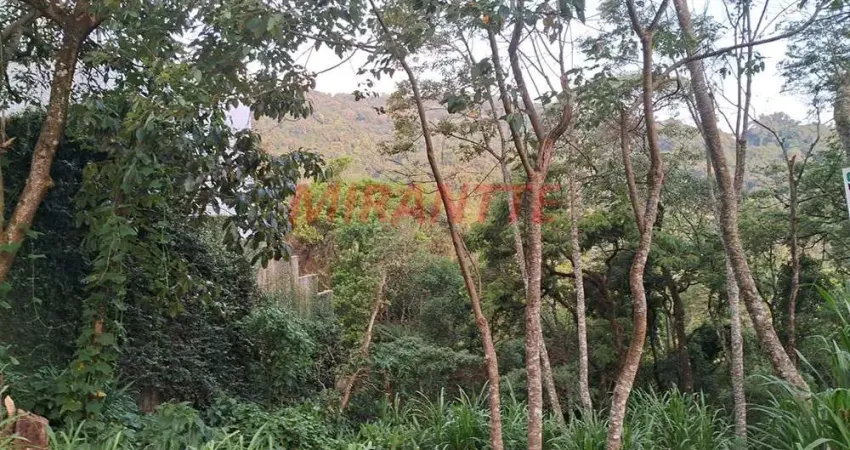 Terreno em condomínio fechado à venda na Alameda Los Angeles, Serra da Cantareira, São Paulo