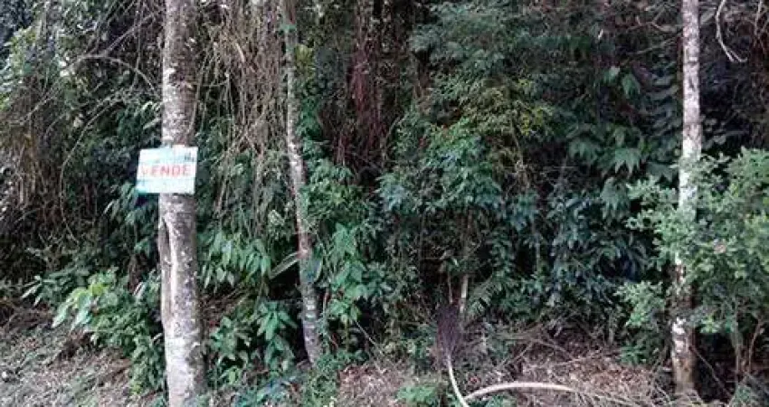 Terreno em condomínio fechado à venda na Rua Salgueiros, Serra da Cantareira, São Paulo