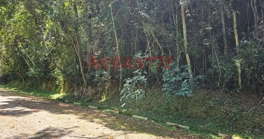 Terreno em condomínio fechado à venda na Rua Barão de Guedes, Serra da Cantareira, Mairiporã