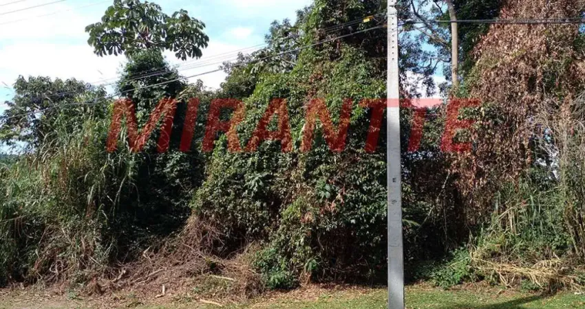 Terreno em condomínio fechado à venda na Alameda Dos Flamingos, Serra da Cantareira, São Paulo