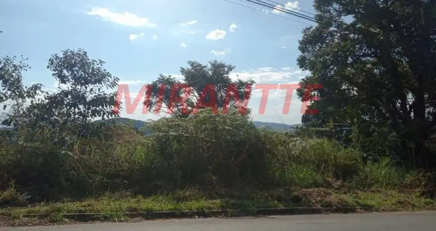 Terreno em condomínio fechado à venda na Avenida São Paulo, Serra da Cantareira, São Paulo