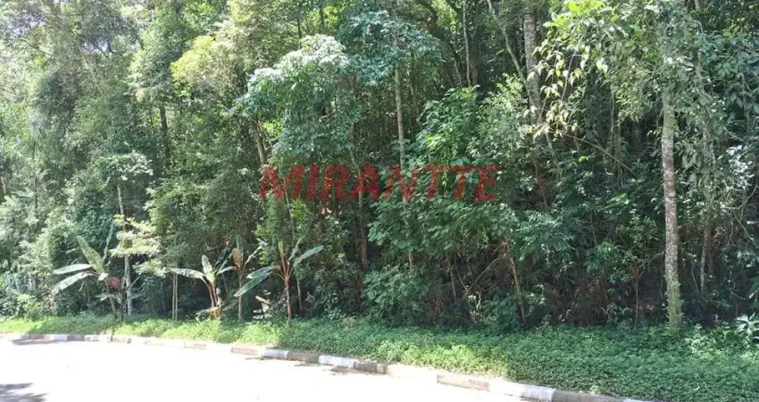 Terreno em condomínio fechado à venda na Alameda Parque Valinhos, Serra da Cantareira, Mairiporã