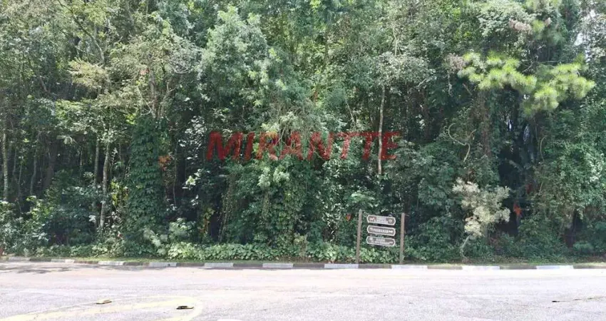 Terreno em condomínio fechado à venda na Alameda Parque Novo Hamburgo, Serra da Cantareira, Mairiporã