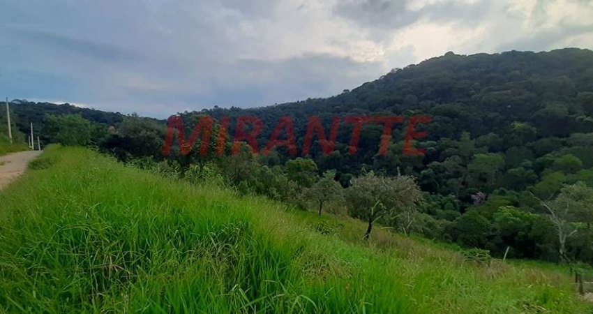 Terreno em condomínio fechado à venda na Alameda dos Jerivás, Serra da Cantareira, Mairiporã
