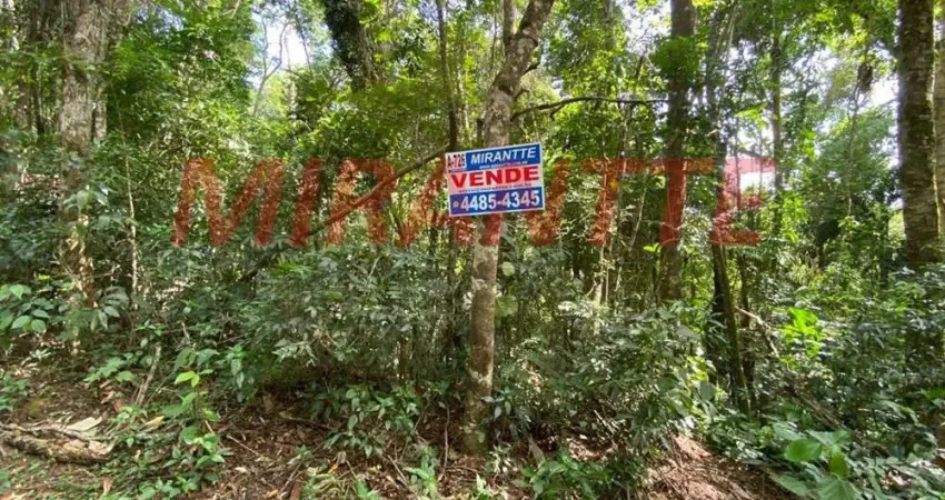 Terreno à venda na Rua dos Salgueiros, Serra da Cantareira, Mairiporã