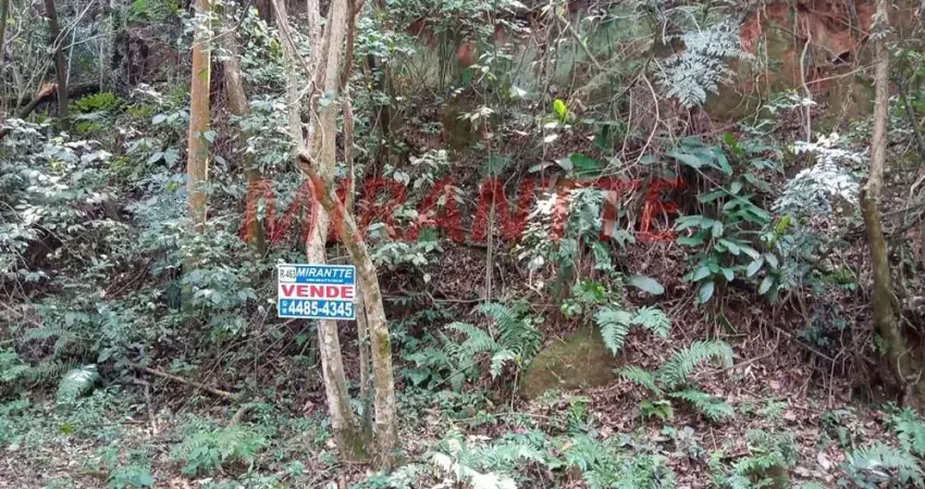Terreno à venda na Rua Jacarandá, Sausalito, Mairiporã