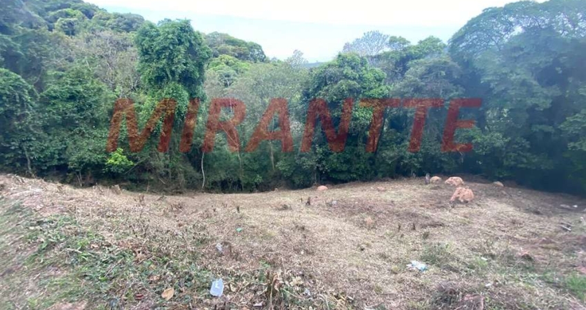 Terreno em condomínio fechado à venda na Rua Turmalina, Santa Inês, Caieiras