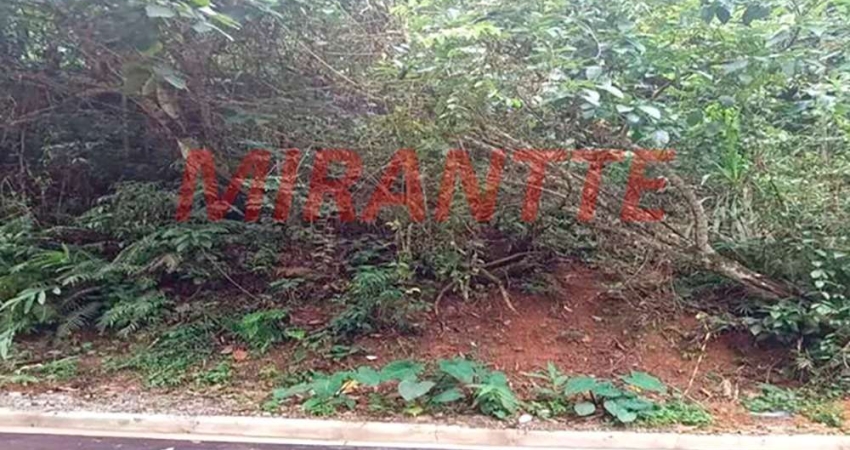 Terreno à venda na Avenida Caraguata, Cumbari, Mairiporã