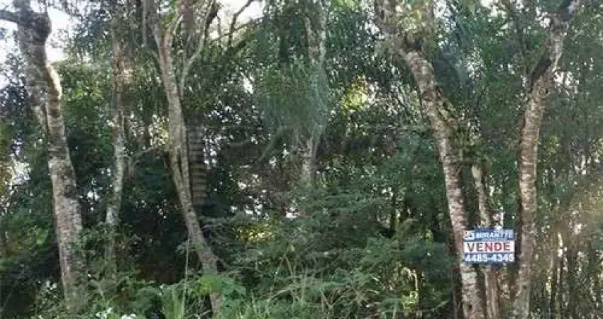 Terreno em condomínio fechado à venda na Rua Ilhéus, Serra da Cantareira, Mairiporã