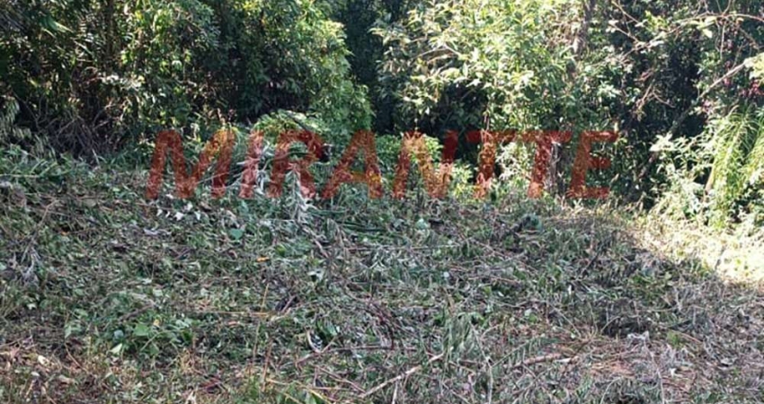 Terreno à venda na Alameda dos Ipês, São Vicente, Mairiporã