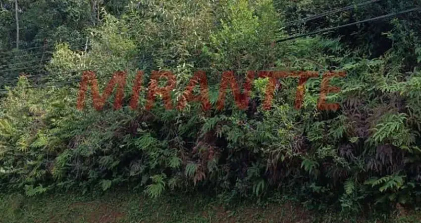 Terreno à venda na Alameda dos Ipês, São Vicente, Mairiporã