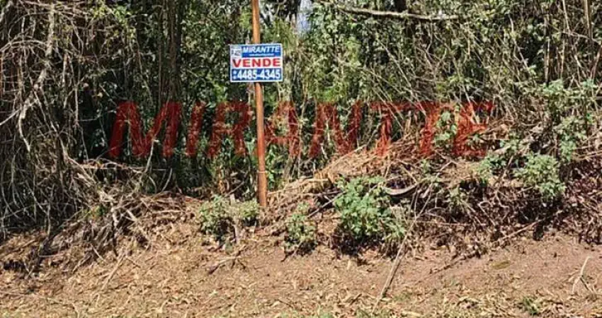 Terreno em condomínio fechado à venda na Avenida Doutor Arthur Andrade Filho - Até 998, Serra da Cantareira, Mairiporã