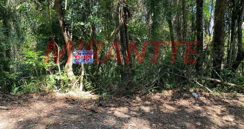 Terreno à venda na Rua Dos Flamboyans, Caraguatá, Mairiporã