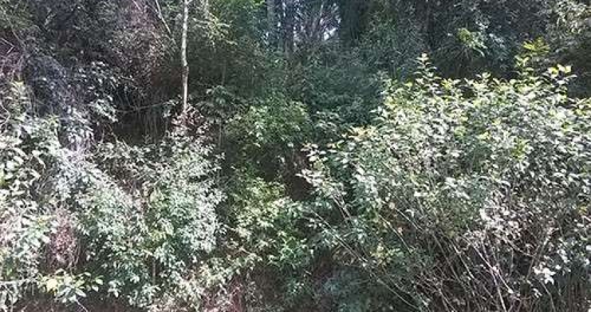 Terreno em condomínio fechado à venda na Brasil x Colombia, Serra da Cantareira, São Paulo