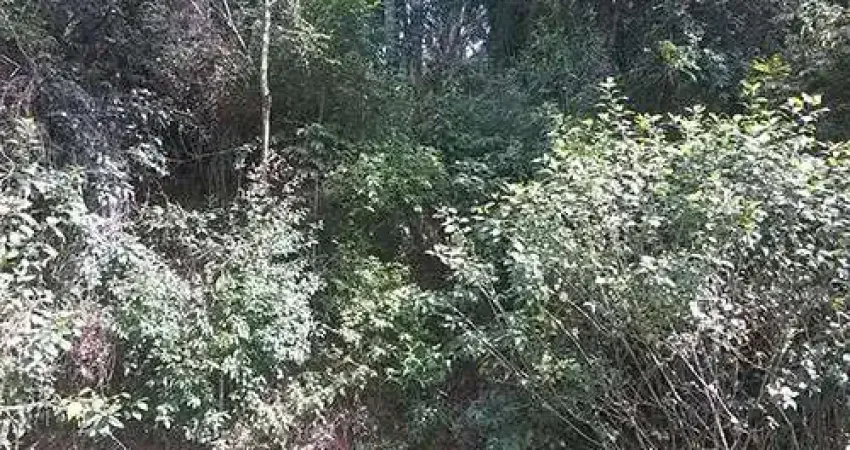 Terreno em condomínio fechado à venda na Brasil X Colombia, Serra da Cantareira, São Paulo