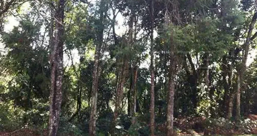 Terreno em condomínio fechado à venda na Rua Dom Pedro II, Serra da Cantareira, São Paulo