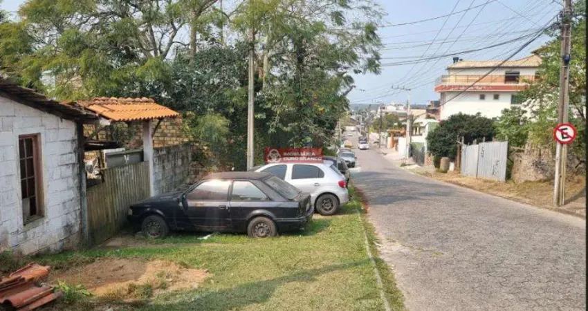 Terreno comercial à venda na Servidão Arthur Luciano Garcia, 274, Ingleses do Rio Vermelho, Florianópolis