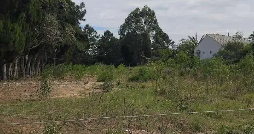 Terreno à venda no São João do Rio Vermelho, Florianópolis