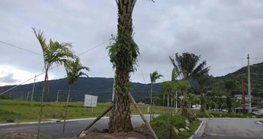 Terreno / Lote - Vargem do Bom Jesus - Florianópolis - 0 quartos